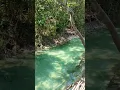 Lagu ini masih tempat sungai biru kec abab kab pali ,Sumsel #tontonan #video #viral #subscribe