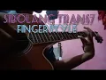 Theme Song - Lagu Sibolang / fingerstyle