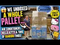 We Unboxed a WHOLE PALLET Air Conditioners Hello Kitty TONS of Random Finds