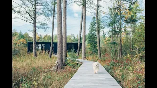 3671 S Sunrise Lane Lake Leelanau MI 49653 - Luxury Spotlight
