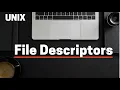 Unix file descriptors concepts stdin stdout stderr Important concepts with scenarios