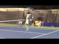 Umpire refuses Putintseva s handshake