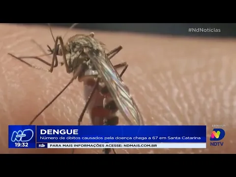 Número de óbitos causados pela dengue chega a 67 em Santa Catarina