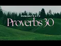 Proverbs 30 NLT