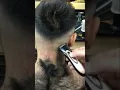 Download Lagu Barber gives insane cut on super hairy man 😱 | #shortsvideo