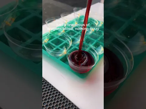This scent is not for the weak π Shop Dragons Blood jelly dome illuminatedbymia.com π©Έ
