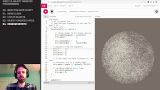 CP1 Object-Oriented Programming in P5JS - Random Growth