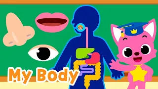 body parts songs for kids five senses brain and more 15 minute learning with baby shark