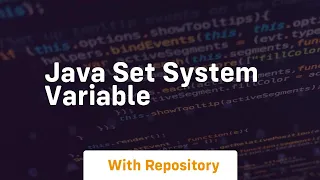 java set system variable