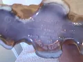 Jim Beam Whiskey Regal China Gold Decanter 1972 old