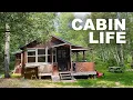 Escaping the Heat in a Remote Cabin on a Lake