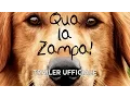 Video di Qua la zampa! - Trailer italiano ufficiale [HD]