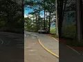 Lagu curve road memory #nature  #nissannavara