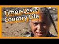 Download Lagu Timor-Leste - Country Life MP3