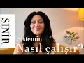 Lagu Sempatik ve Parasempatik Sinir Sistemi: Hayatınıza Etkileri!