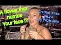 Best Drinks on the Las Vegas Strip