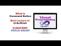 What is Button Control Visual Programming Lecture in