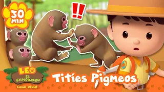 ¡BATALLA DE MONOS EN EL ÁRBOL! | Leo, El Explorador | Animación - Familia