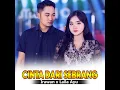 Cinta Dari Sebrang - Irawan X Laila Ayu