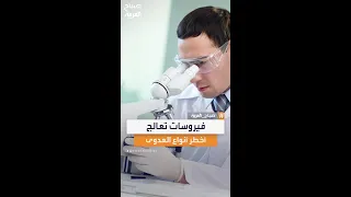فيروسات تلتهم البكتيريا   أمل جديد في مواجهة أخطر أنواع العدوى المقاومة للمضادات دندنها