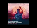TIESTO & R3HAB X Avicii - Run Free & Fade into Darkness (Protocolbeat edit)