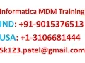 Informatica mdm online Training Day4 landing table concept in MDM