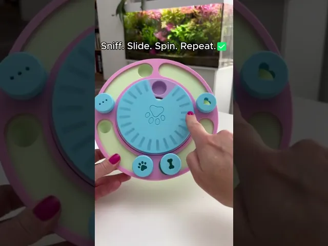 ORBIT PUZZLE video thumbnail
