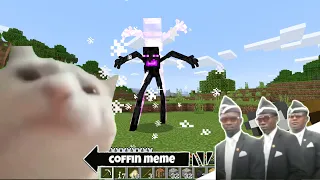 Download Coffin Meme but Cat is Vibing Part 6 - Minecraft MP3