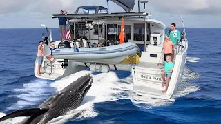 CAUGHT ON CAMERA – COLLISION with WHALE in TONGA – the Damage, the Drama, and the Aftermath (72)