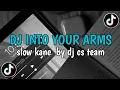 Lagu DJ INTO YOUR ARMS ❗️SLOW  KANE  BY DJ CS TEAM | VIRAL  TIKTOK 2025