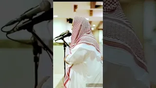 صوت كأنه من الجنة   قرآن كريم   الشيخ يوسف العيدروس   دندنها