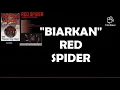 Download Lagu BIARKAN - RED SPIDER + lirik (AUDIO HQ)
