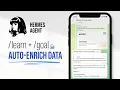Hermes Agent learn goal Auto-Enrich Data Parallel API