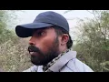 Rabbit trap | rabbit hunting | wildlife