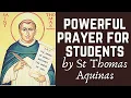It s not easy being a student school college P s postdocs catholic prayer with captions
