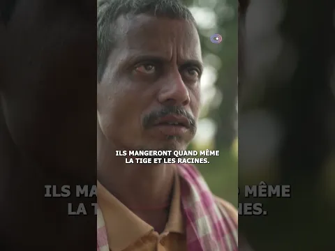 Ces cultivateurs indiens vivent dans la peur