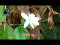 HILING - Mark Carpio (Karaoke Version)