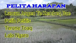 album terbaik pelita harapan