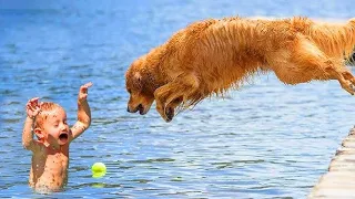 Dog Save Baby Life 😲 Live Stream