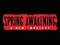 My Junk - Spring Awakening (Subs Eng/ Esp)