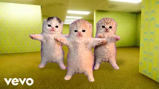 Three Kittens Dancing BACKROOMS Cats Dancing - Cool (Official Video)