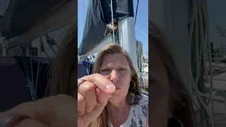 Become an Armchair Director! #secondhandsailors #sailinglife #sailing ⛵️