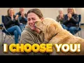 When A Dog Chooses YOU Adoption Event 2026