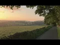 a calm playlist for reading