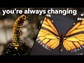 Download Lagu This beautiful song will INSPIRE you GROW INTO the YOU you want to be