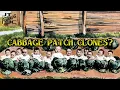 Cabbage Patch Clones with teslaandthecabbagepatchkids