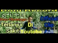 Lagu Don Chaniago Terlanjur Sakit (Official Clip Lirik)
