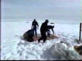 Download Lagu 3Y0PI 1994 PETER THE FIRST DXPEDITION WA4JQS / VP8BZL