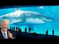 America Built the World s LARGEST Aquarium for 50 Billion