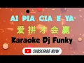 Download Lagu ai pia cia e ya karaoke remix 爱拼才会赢